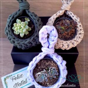 NINHO DE CROCHÊ COM SUCULENTA – CADA