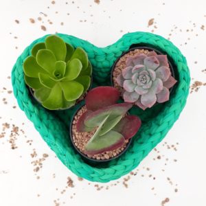 CACHEPÔ NO FORMATO DE CORACAO EM FIO DE MALHA VERDE ( SEM PLANTAS)