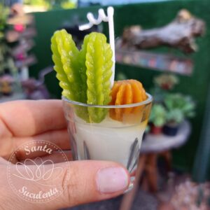 VELA DECORATIVA AROMÁTICA MODELO CACTO VIDRO 9X6 cm