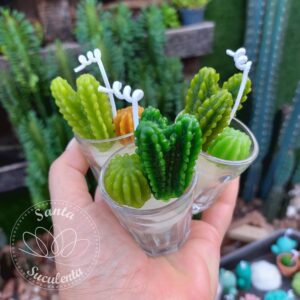 VELA DECORATIVA AROMÁTICA MODELO CACTO VIDRO 9X6 cm