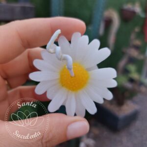 VELA MARGARIDA DIVERSAS CORES 4cm CADA