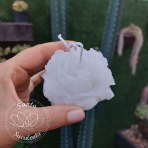 VELA DECORATIVA AROMÁTICA MODELO SUCULENTA BRANCA  8cm