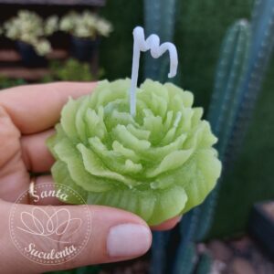 VELA DECORATIVA AROMÁTICA MODELO SUCULENTA VERDE CLARA  8cm