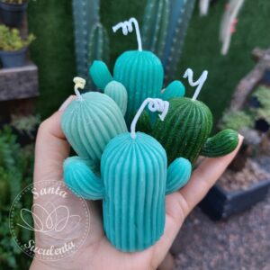 VELA DECORATIVA AROMÁTICA MODELO CACTO 6X8 cm