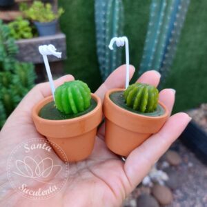 VELA CACTO NO VASINHO DE BARRO  4X3cm