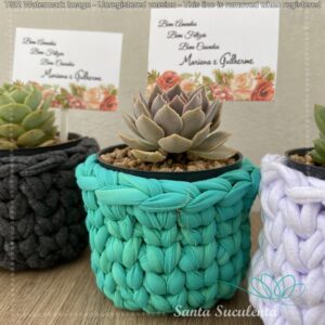 LEMBRANCINHA CACHEPÔ CROCHET