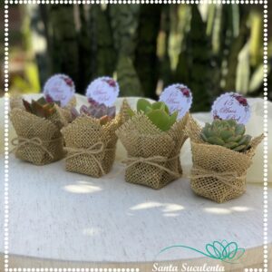 LEMBRANCINHA CACHEPÔ JUTA FIO DOURADO MOD. ESTRELA